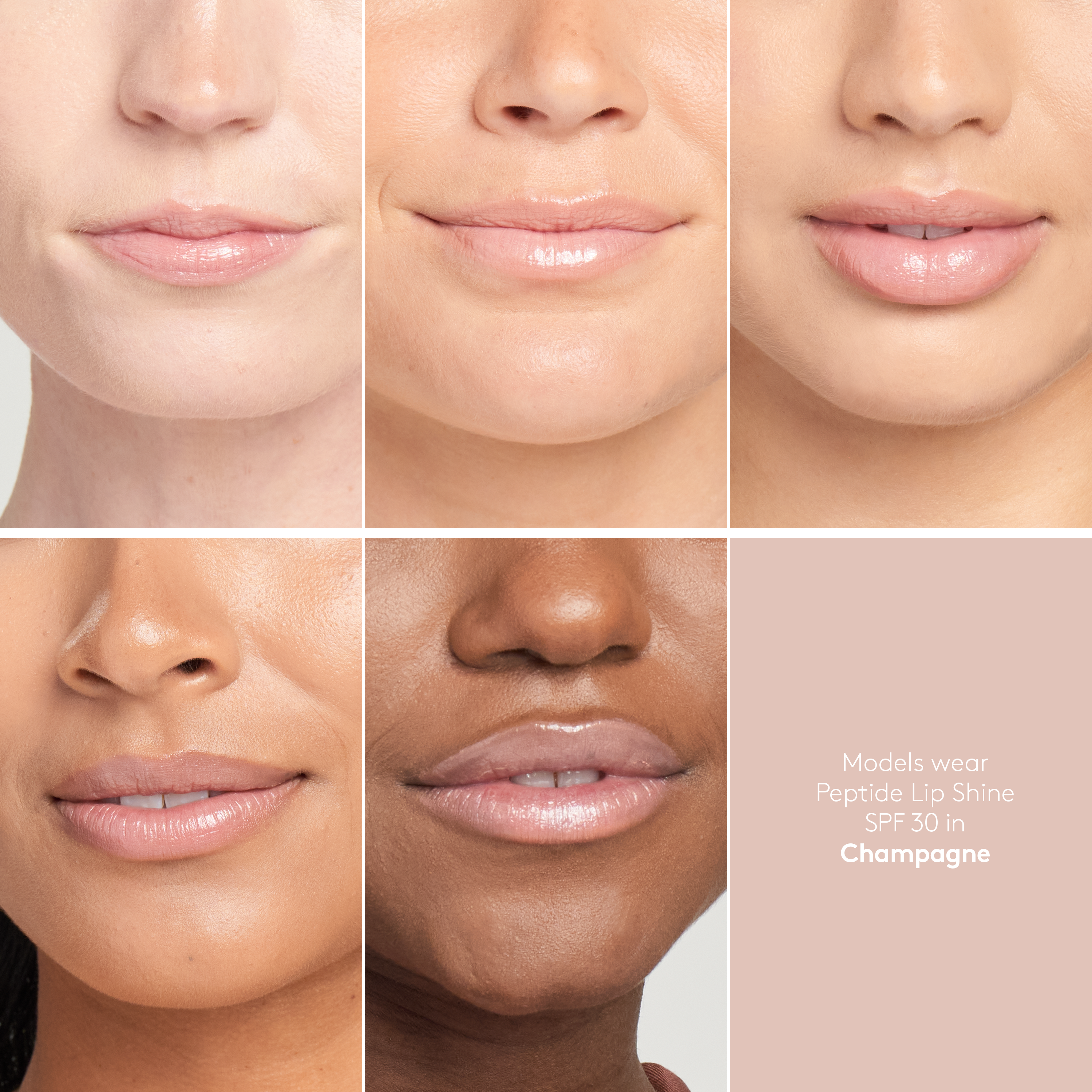 Peptide Lip Shine SPF 30 on 5 models of different skin tones || Champagne