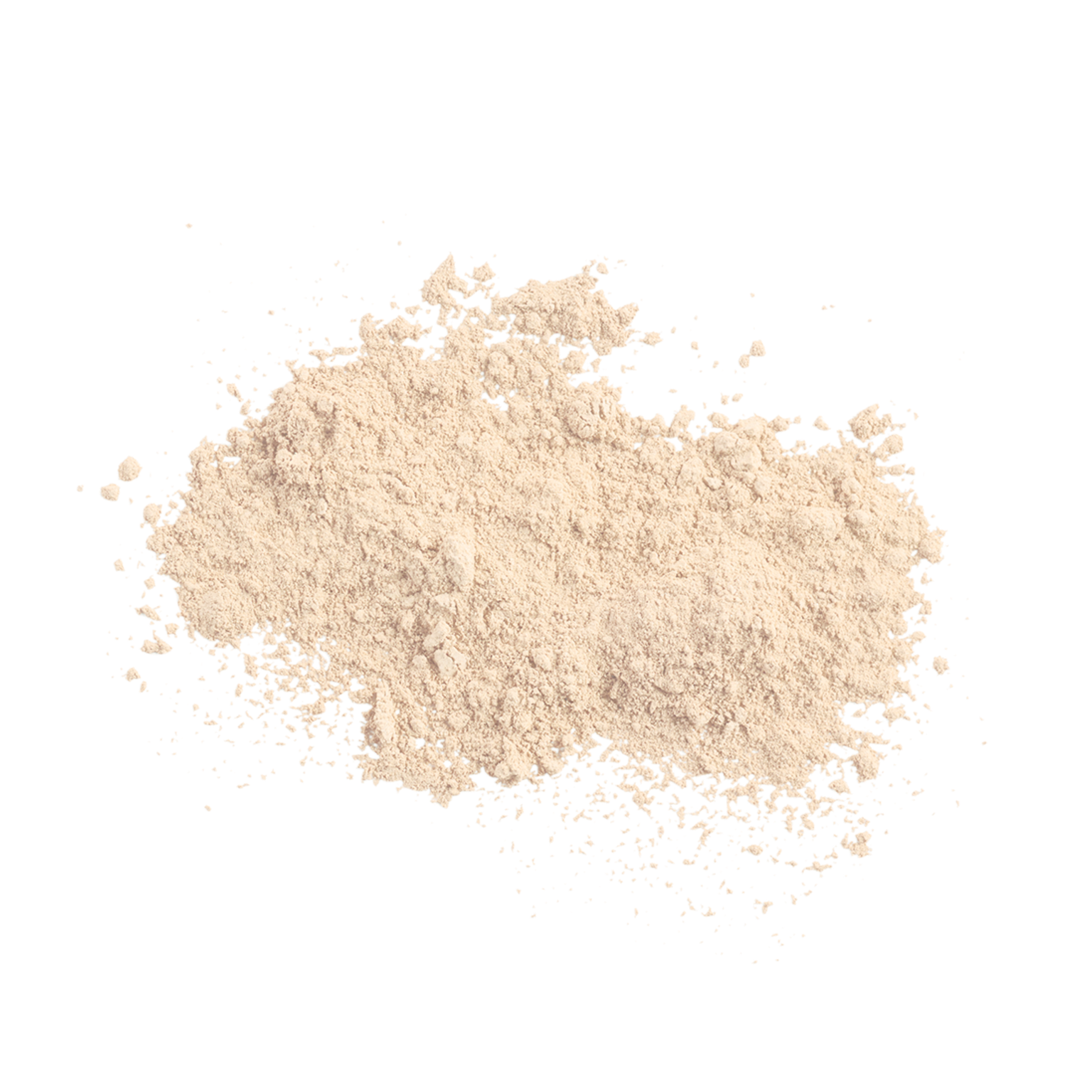 Sunforgettable® Total Protection™ Brush-On Shield SPF 50 powder || Fair