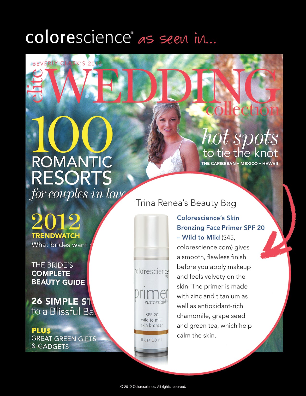 Trina Renea's Beauty Bag