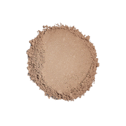 Sunforgettable® Total Protection™ Brush-On Shield Bronze SPF 50 swatch